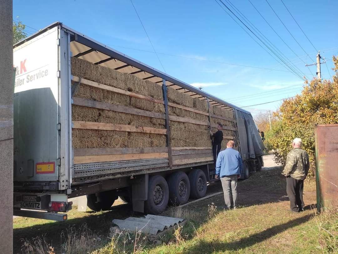 заготовка сіна на зиму f060e