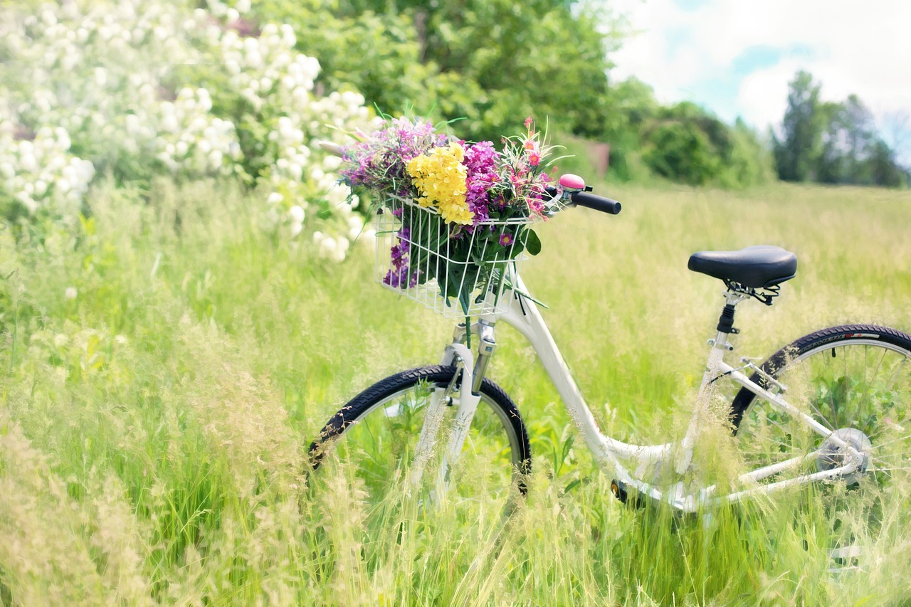 bicycle g1978bbeae 1280 907df